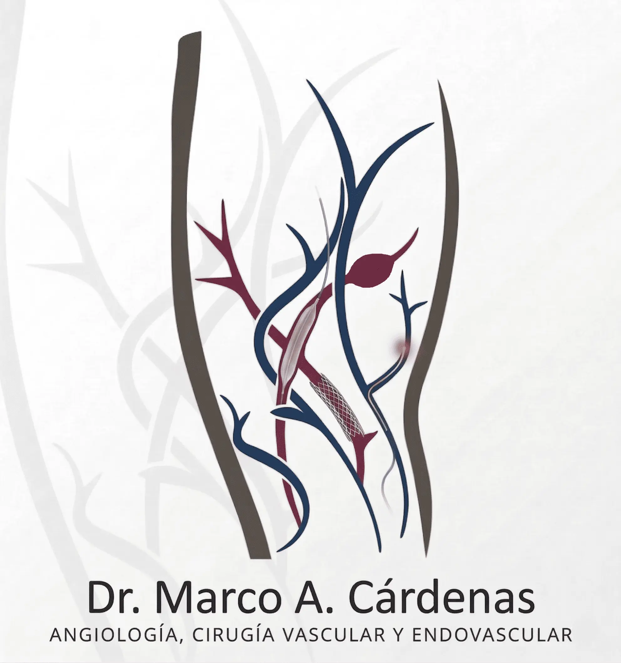 Dr. Marco A. Cárdenas
